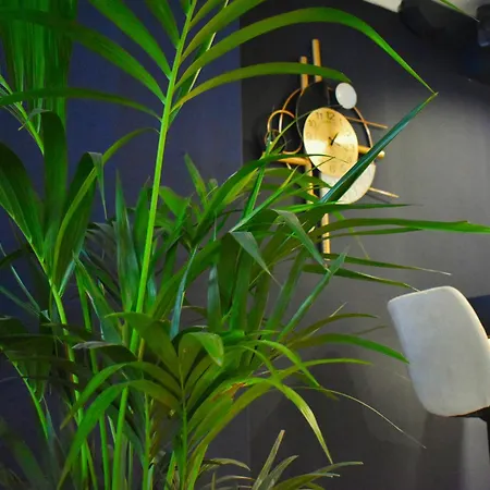 Kosmopolit Loutráki