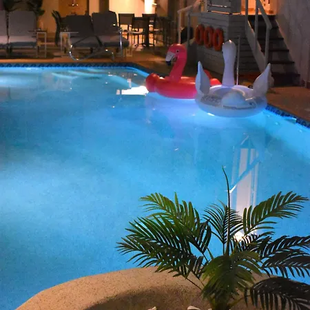 Otel Kosmopolit